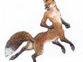 foxtaur.jpg